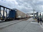 CNA 712871